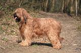 BRIARD 021